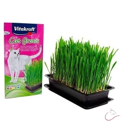 Vitakraft Cat-Grass – 120 g