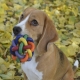 Viacfarebná tkaná guľa 9,5 cm hračka pre psov