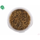 JK Sušené múčne červy JK Dried mealworms, 80 g